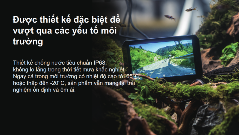 Ảnh thu nhỏ 14
