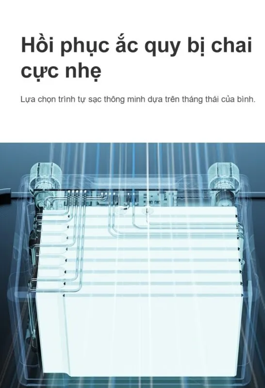 Ảnh thu nhỏ 11